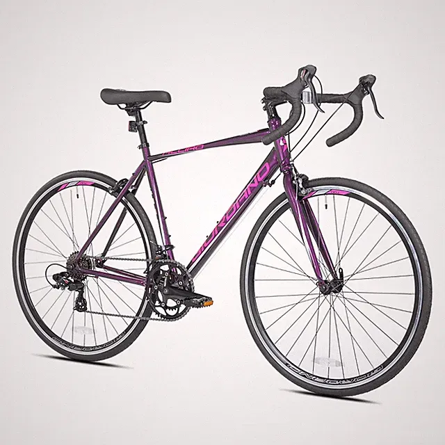 700c Giordano Acciao Road Bike, 14-Speed, Medium Frame, Purple