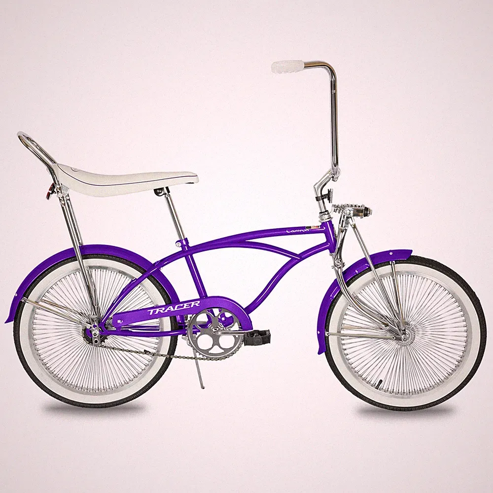 14 Speeds Beach Cruiser