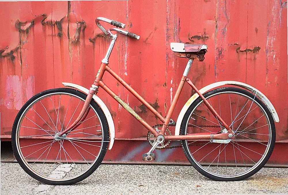 14 Speeds Cross Country Bike